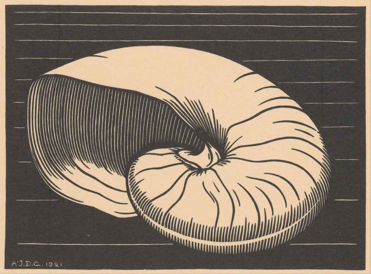 Julie de Graag — Nautilus Shell | Woodcut Print