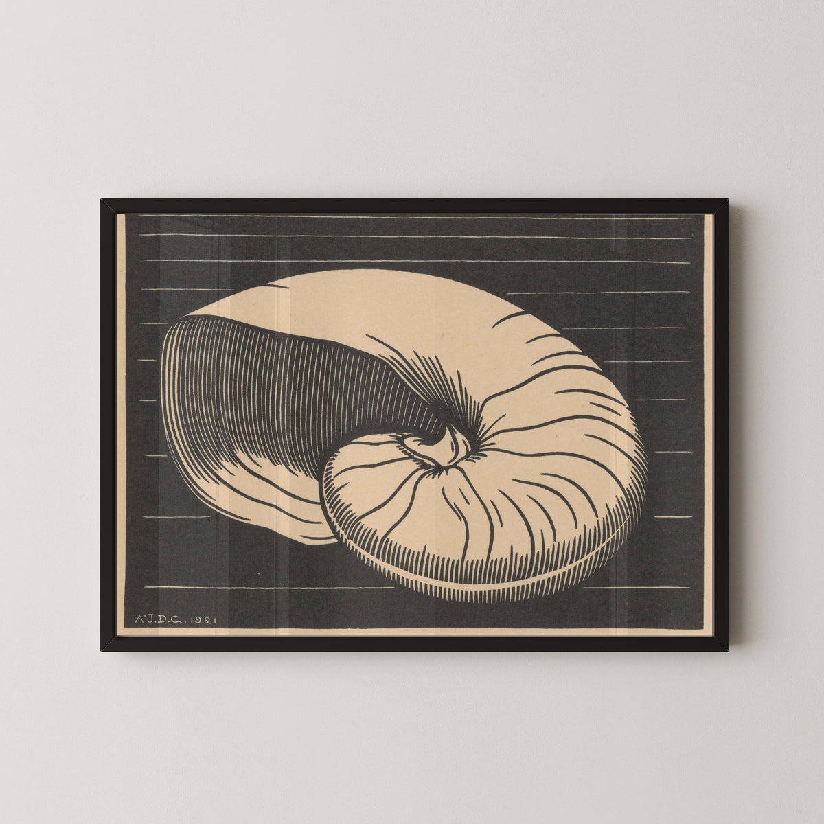 Julie de Graag — Nautilus Shell | Woodcut Print
