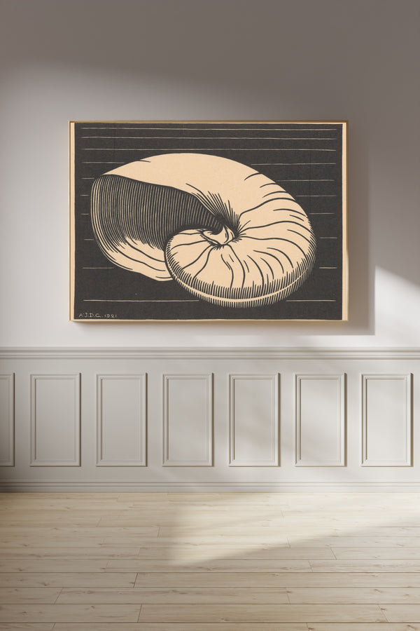 Julie de Graag — Nautilus Shell | Woodcut Print