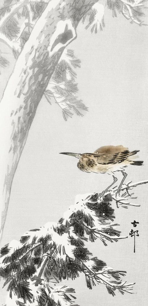 Night Heron on a Snowy Pine Branch by Ohara Koson — A hunched heron on a snow-laden pine branch