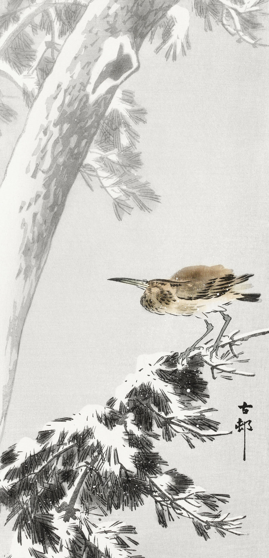 Ohara Koson — Night Heron on a Snowy Pine Branch | Japanese Bird & Flower Woodblock Print shown to scale on a wall above a sofa