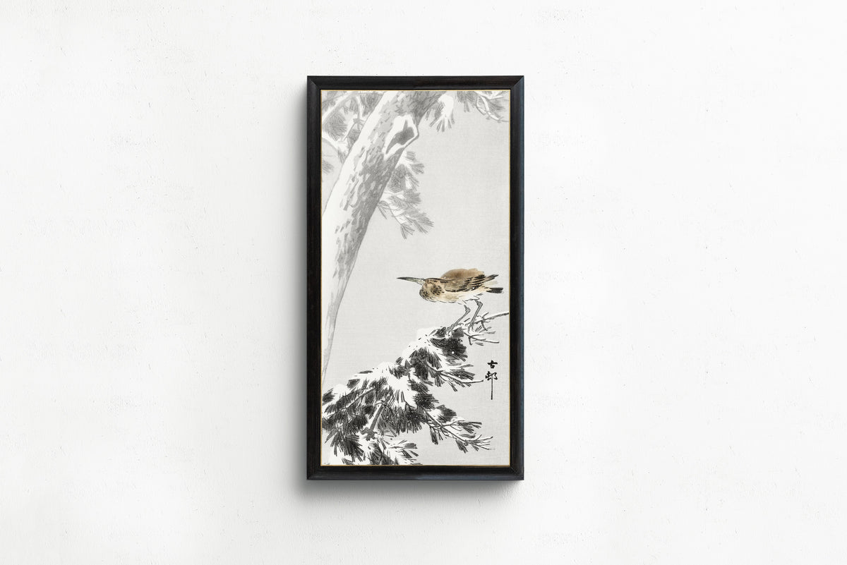 Framed art print of Night Heron on a Snowy Pine Branch by Ohara Koson, in a slim black frame on a plain white wall