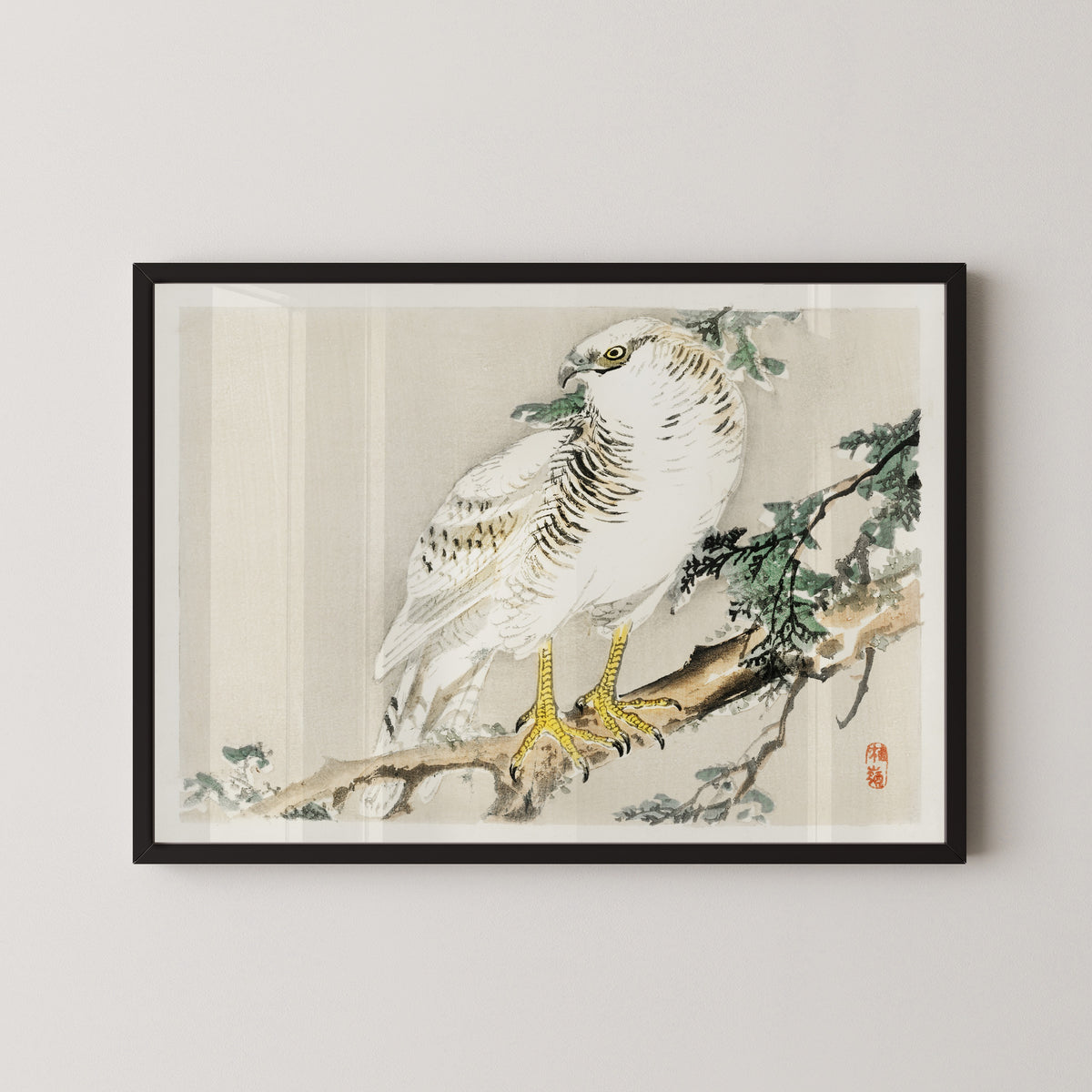 Kōno Bairei — White Hawk on an Evergreen Branch | Japanese Bird & Flower Woodblock Print