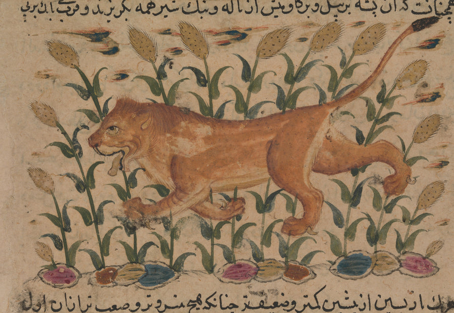 Nuzhatnama-i ‘Ala’i: A Lion | Persian Miniature Art Print shown to scale on a wall above a sofa