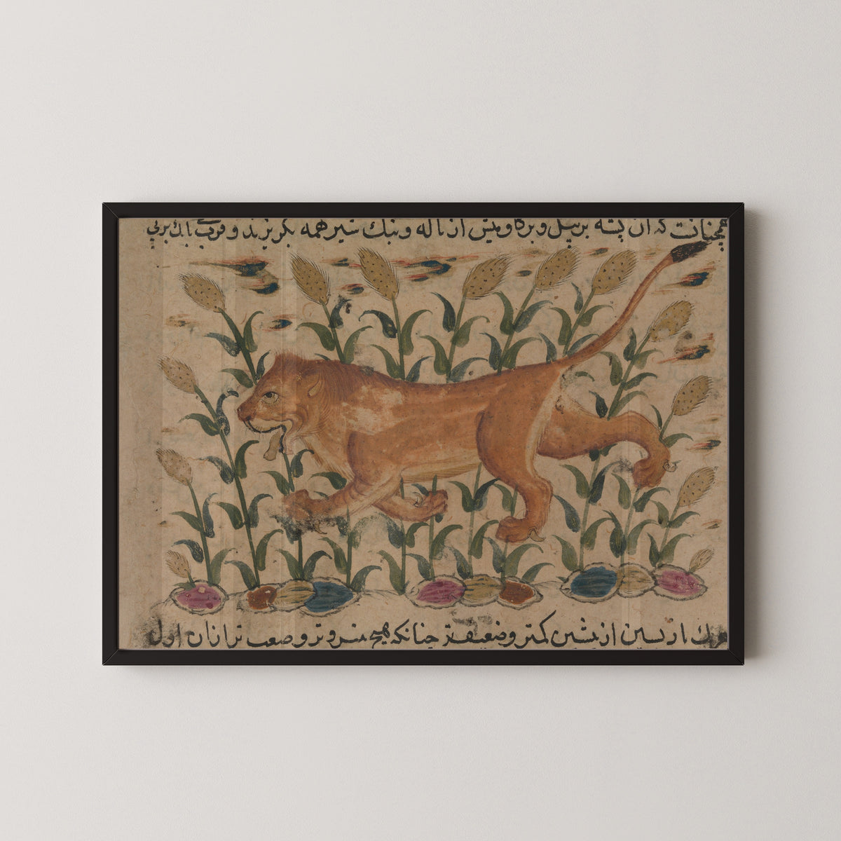 Framed art print of Nuzhatnama-i ‘Ala’i: A Lion, in a black frame on a pale wall