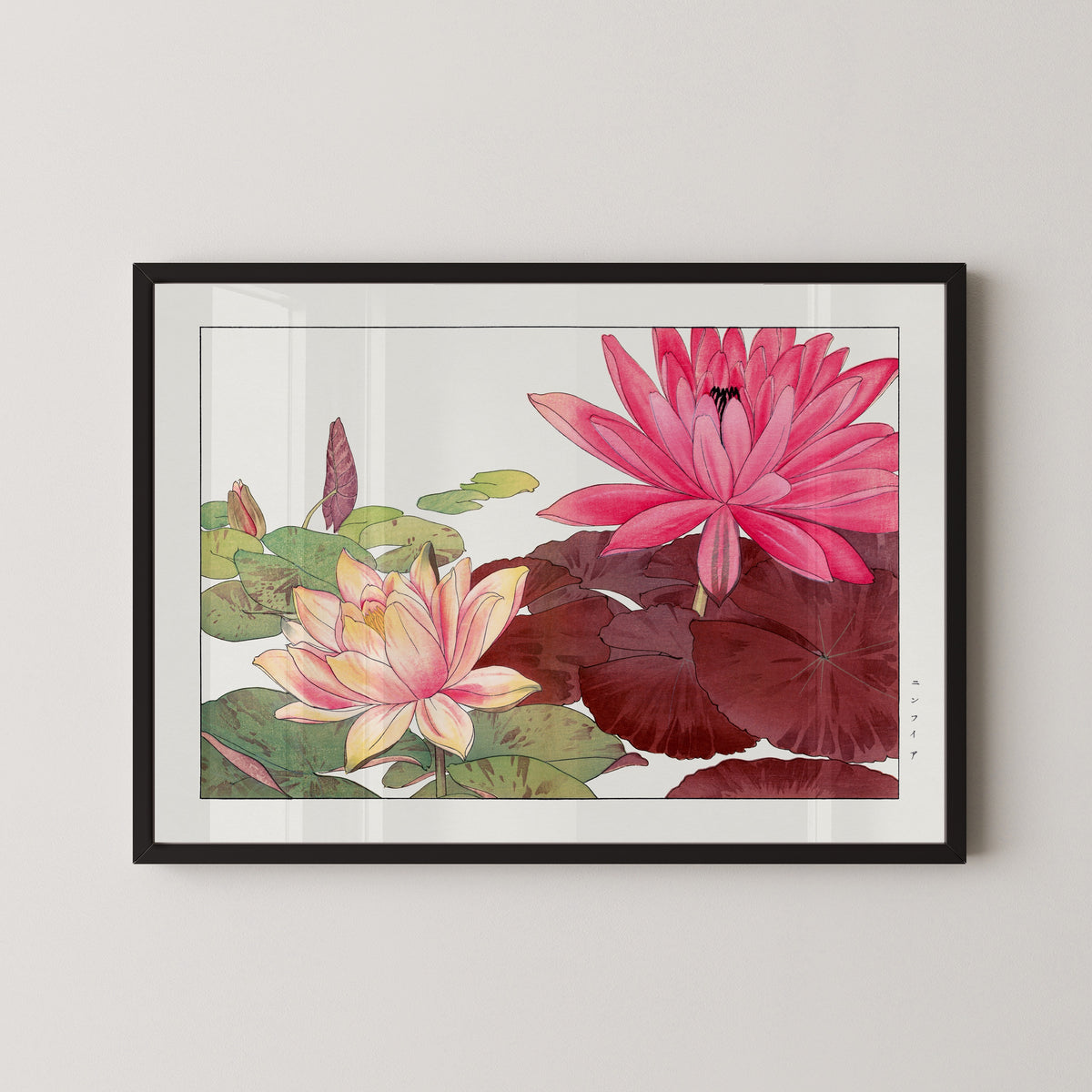 Tanigami Kōnan — Nymphaea lotus | Japanese Botanical Woodblock Print