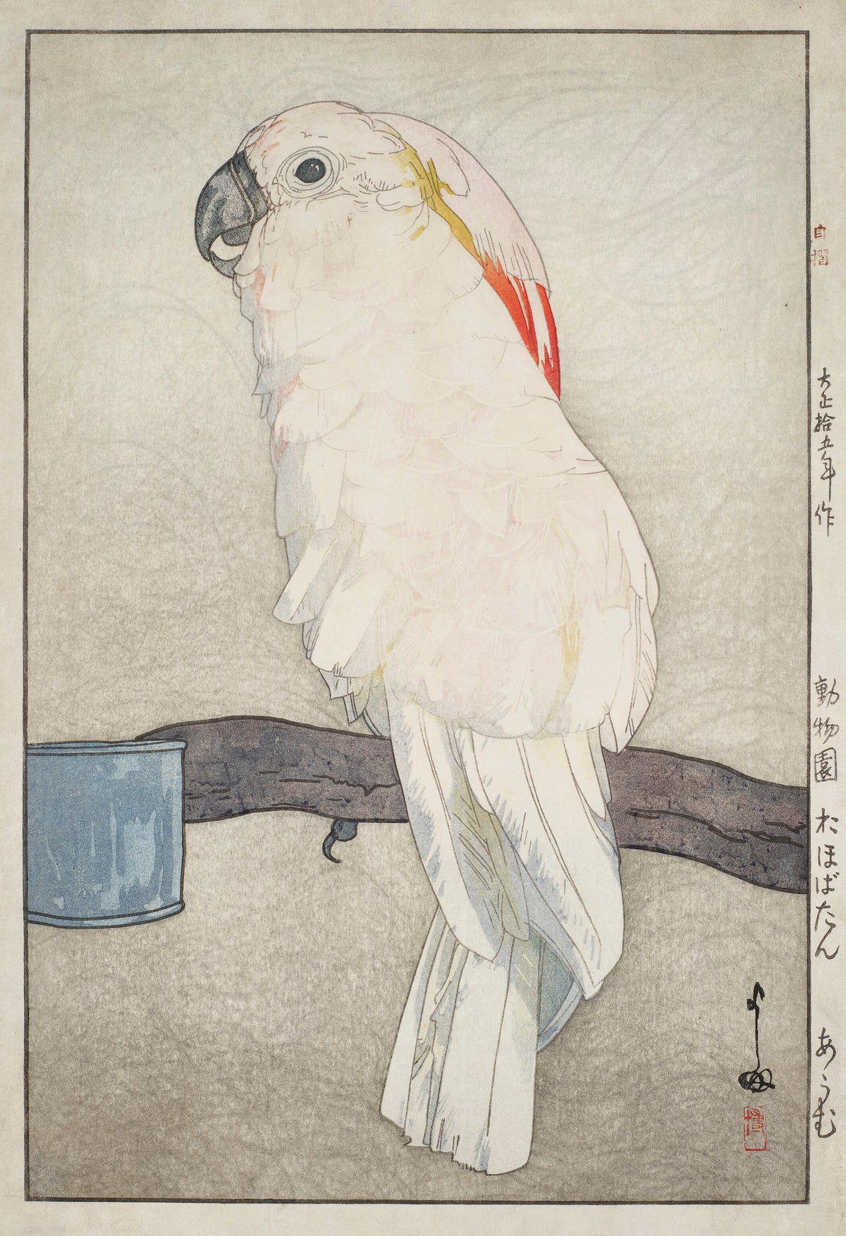 Obatan Parrot by Hiroshi Yoshida — A pink-washed white parrot on a branch beside a blue cup