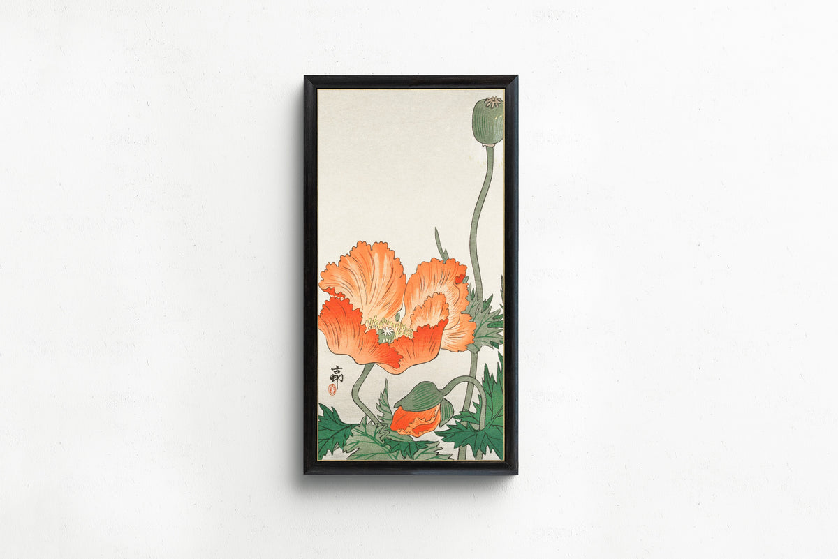 Poppies by Ohara Koson — in a slim black frame on a plain white wall