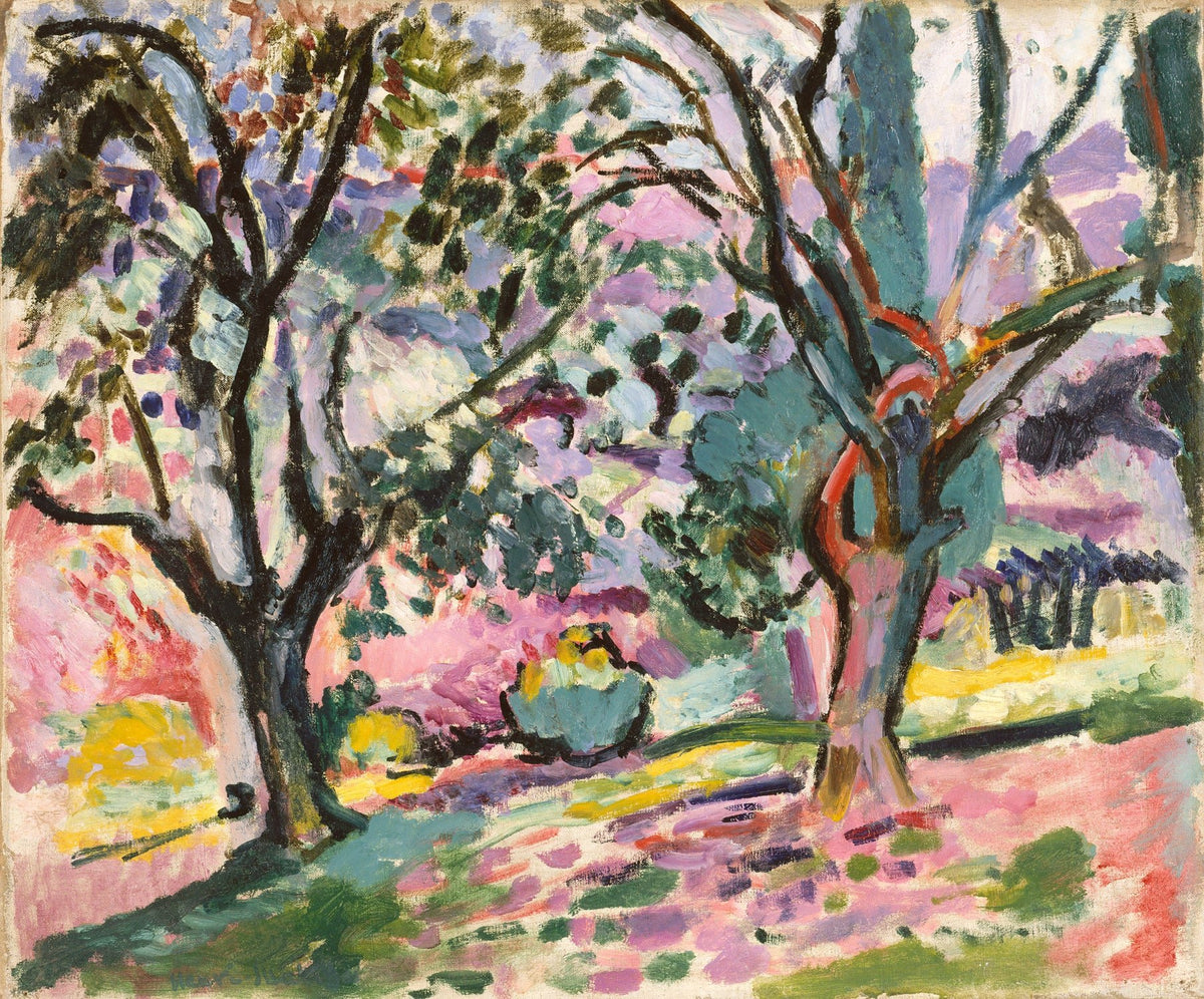 Henri Matisse — Olive Trees at Collioure | Fine Art Print