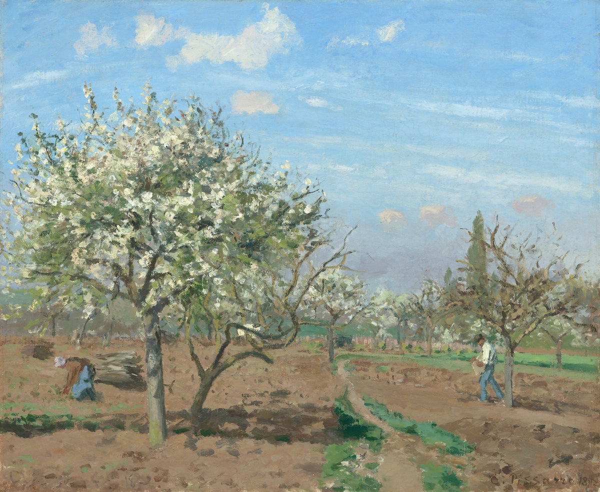 Camille Pissarro — Orchard in Bloom, Louveciennes | Fine Art Print