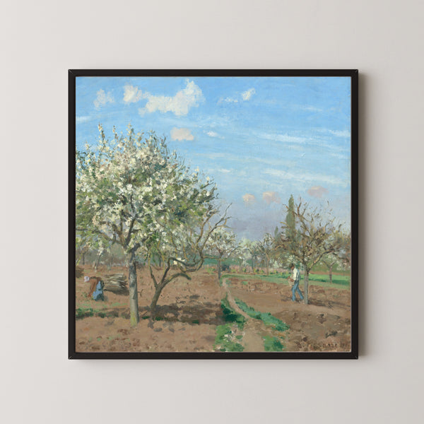 Camille Pissarro — Orchard in Bloom, Louveciennes | Fine Art Print