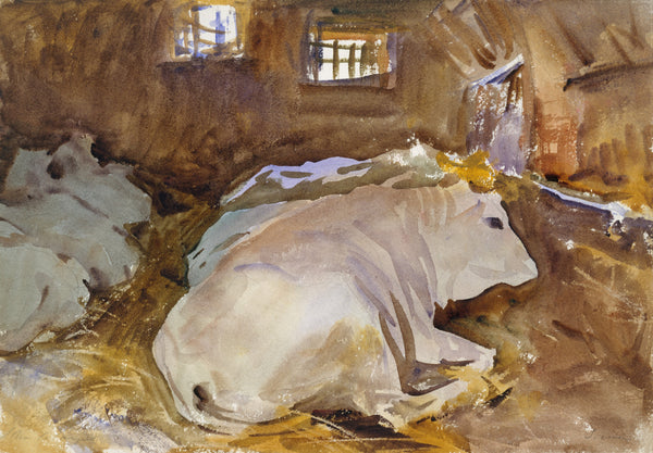 John Singer Sargent — Oxen | Fine Art Print