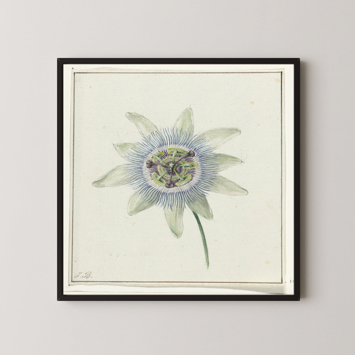 Jean Bernard — Passion Flower | Fine Art Print