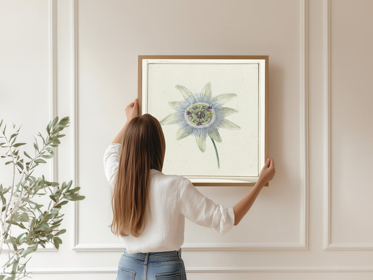 Jean Bernard — Passion Flower | Fine Art Print
