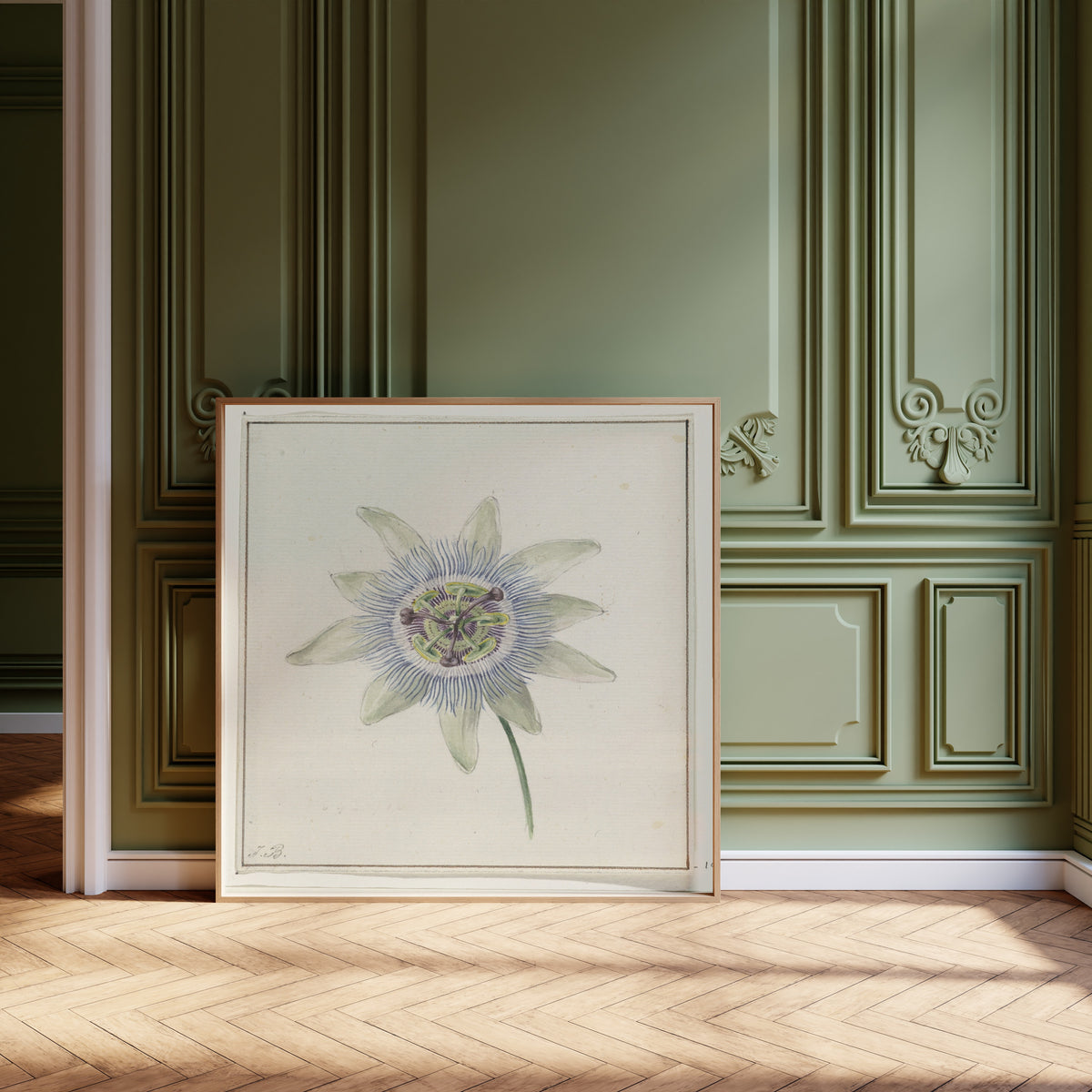Jean Bernard — Passion Flower | Fine Art Print