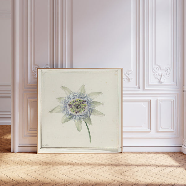 Jean Bernard — Passion Flower | Fine Art Print