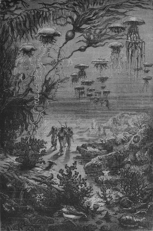 Paysage sous-marin de l'île Crespo (Underwater landscape of Crespo Island) by Alphonse de Neuville — Helmeted divers walk a sea floor beneath drifting jellyfish