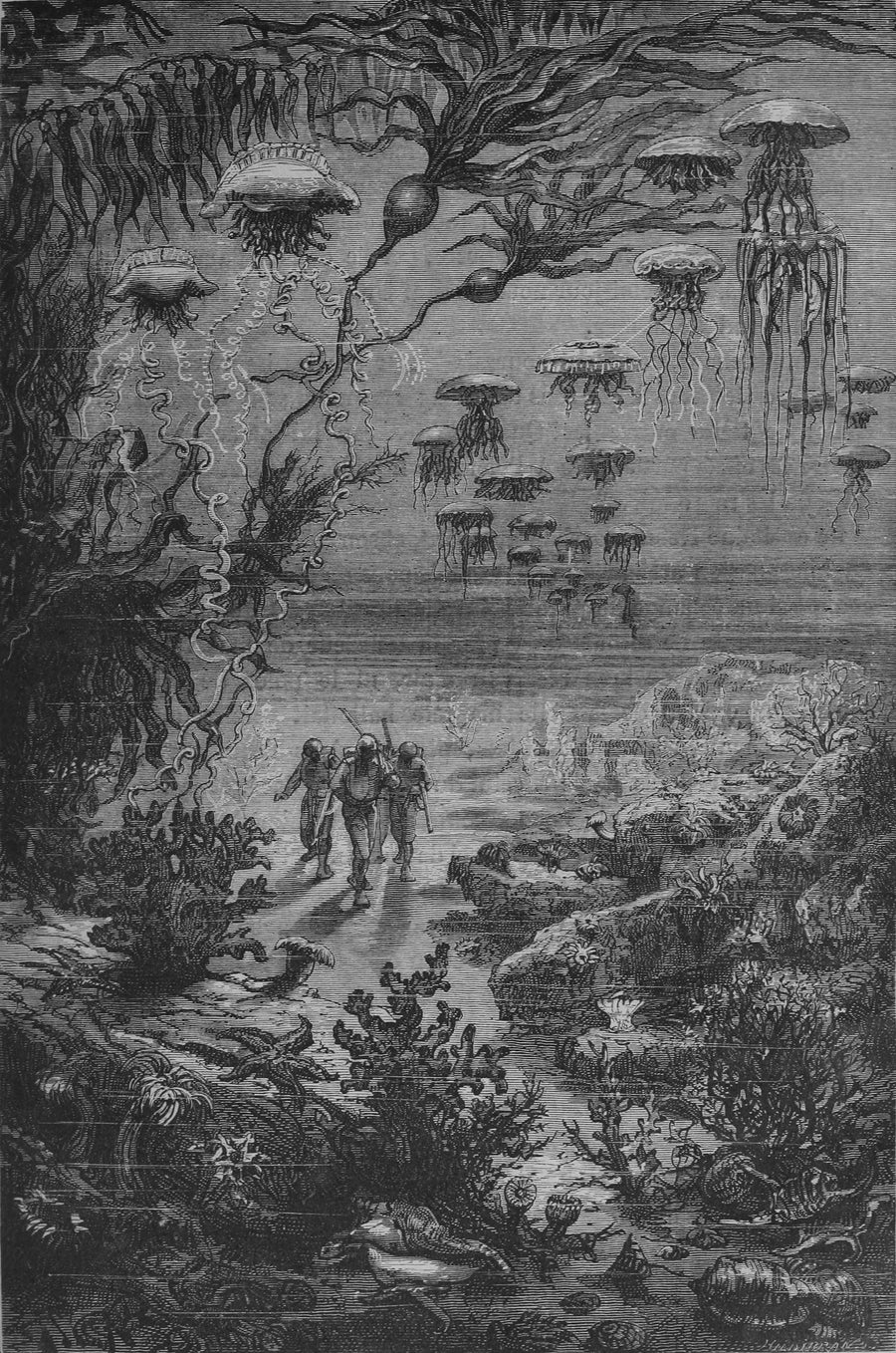 Alphonse de Neuville — Paysage sous-marin de l'île Crespo (Underwater landscape of Crespo Island) | Vintage Illustration Print shown to scale on a wall above a sofa