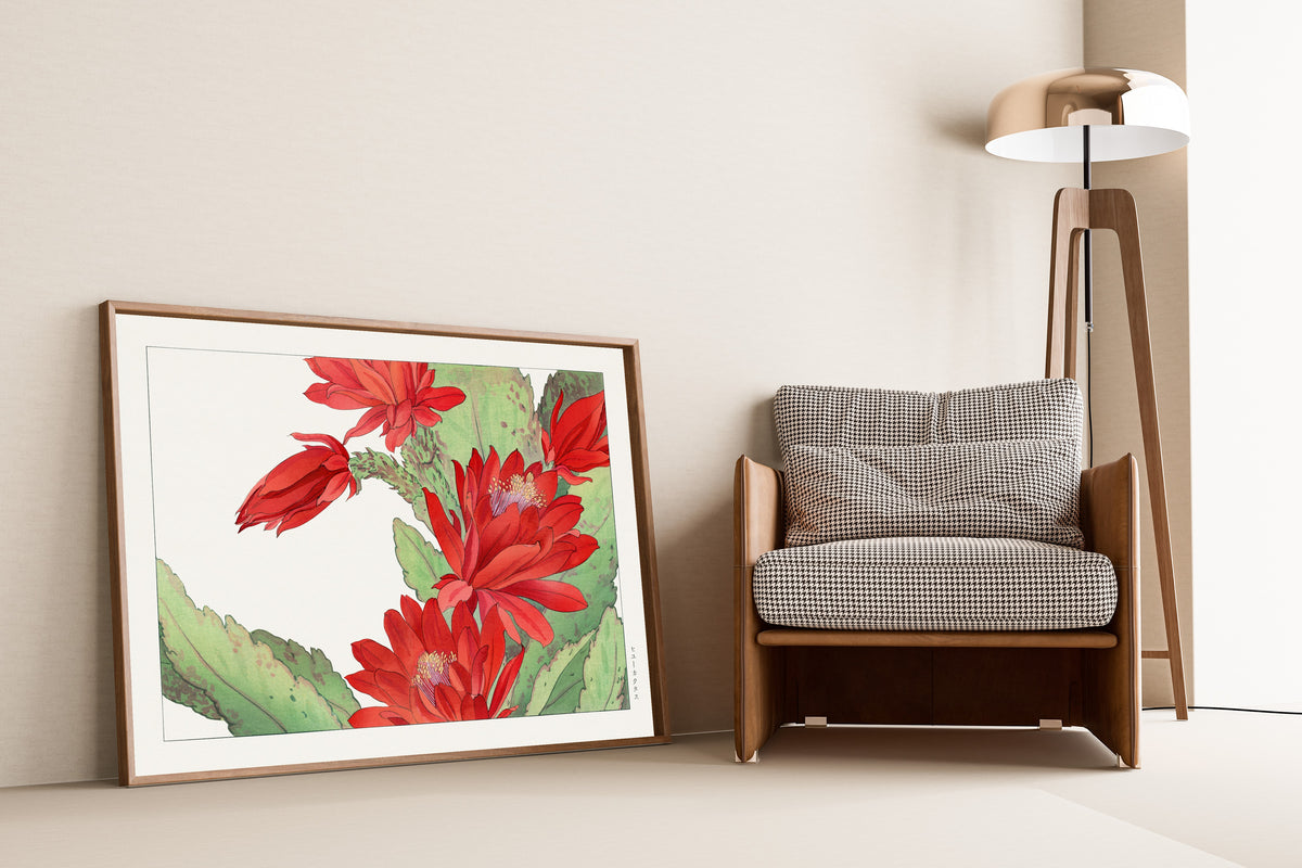 Tanigami Kōnan — Phyllocactus flower | Japanese Botanical Woodblock Print