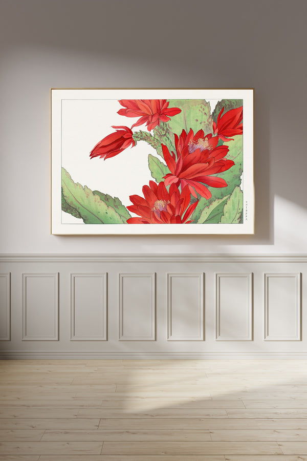 Tanigami Kōnan — Phyllocactus flower | Japanese Botanical Woodblock Print