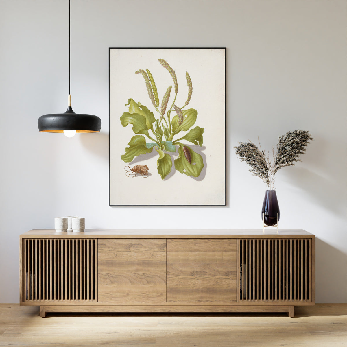 Framed art print of Plantain with Metamorphosis of the Bright-Line Brown-Eye by Maria Sibylla Merian, above a slatted wood sideboard