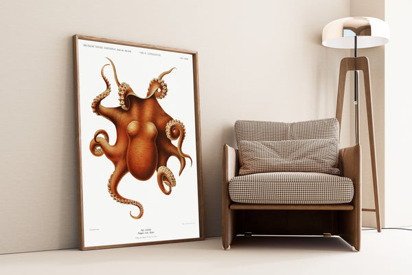 Ewald Heinrich Rübsaamen — Polypus levis | Scientific Illustration Print