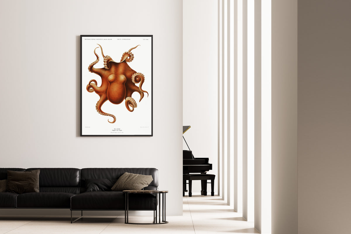 Ewald Heinrich Rübsaamen — Polypus levis | Scientific Illustration Print