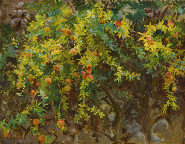 John Singer Sargent — Pomegranates, Majorca | Fine Art Print