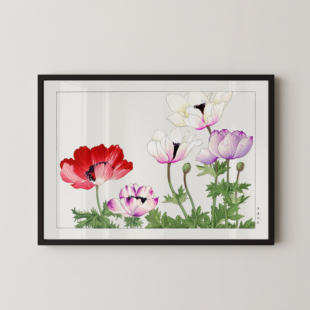 Tanigami Kōnan — Anemone | Japanese Botanical Woodblock Print