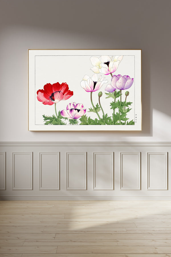 Tanigami Kōnan — Anemone | Japanese Botanical Woodblock Print