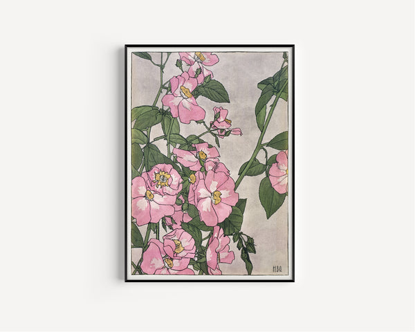 Hannah Borger Overbeck — Prairie Rose | Fine Art Print