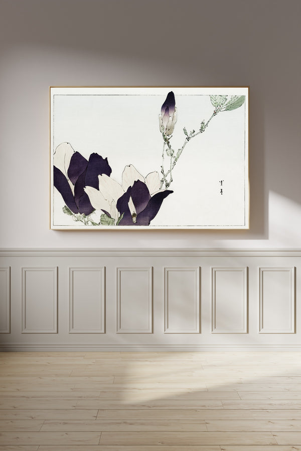 Watanabe Seitei — Purple magnolia | Japanese Bird & Flower Woodblock Print