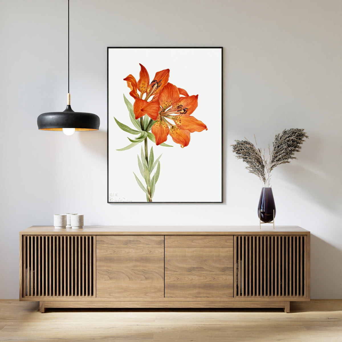 Mary Vaux Walcott — Red Lily (Lilium montanum) | Natural History Print