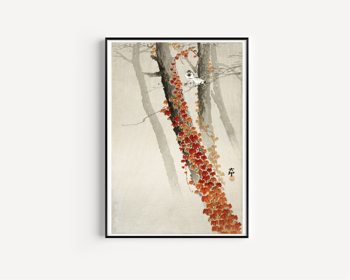 Ohara Koson — Red ivy | Japanese Bird & Flower Woodblock Print