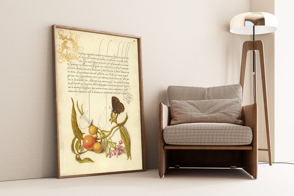 Joris Hoefnagel — Ringlet, False Jerusalem Cherry, and Milkwort | Botanical Calligraphy Print