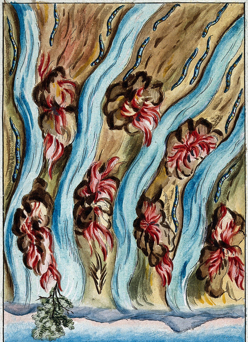 Rivers Running in the Wilderness (Multiplication) by After Nicolas Flamel — Blue streams, serpents and red flames run down a slope