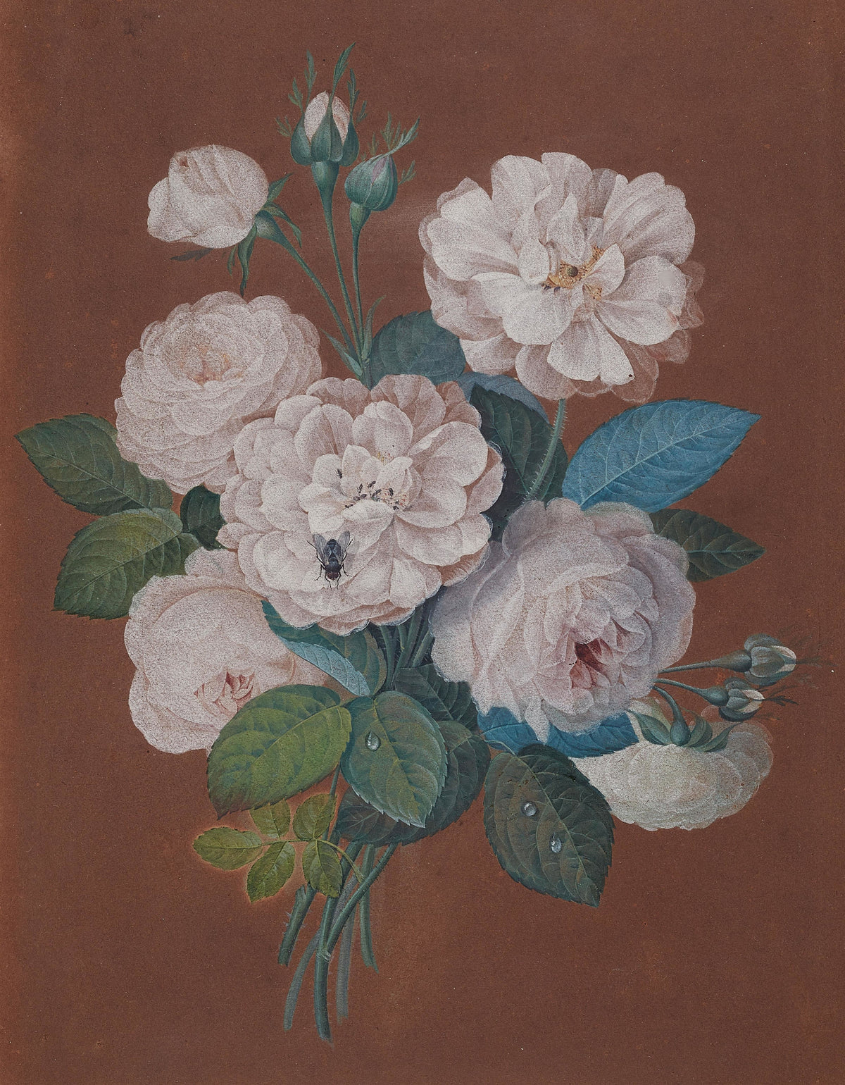 Pierre-Joseph Redouté — Rose Bouquet with Insects | Botanical Illustration Print