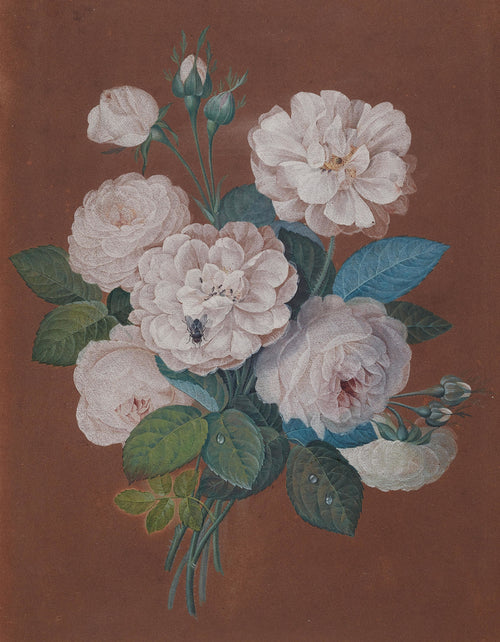 Pierre-Joseph Redouté — Rose Bouquet with Insects | Botanical Illustration Print
