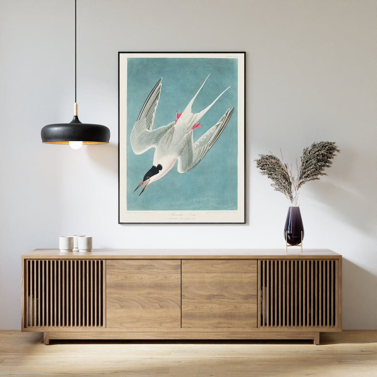 John James Audubon — Roseate Tern | Natural History Print