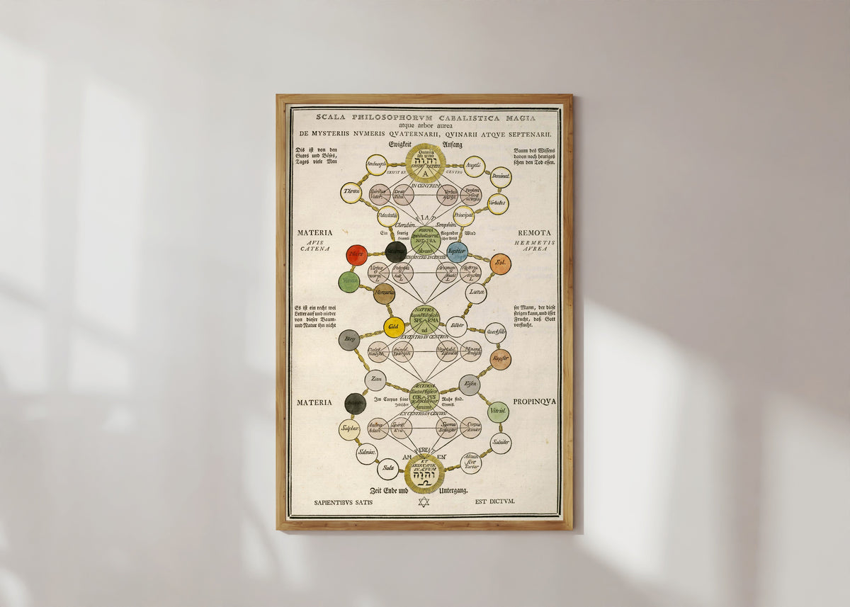 Framed art print of Scala Philosophorum Cabalistica Magia atque Arbor Aurea by Unknown artist, in a light wood frame on a sunlit white wall