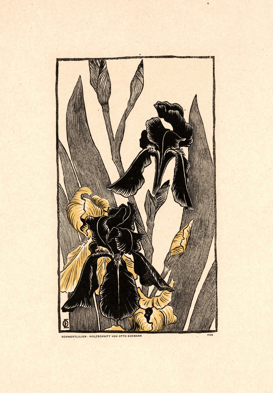Otto Eckmann — Schwertlilien | Art Nouveau Print shown to scale on a wall above a sofa