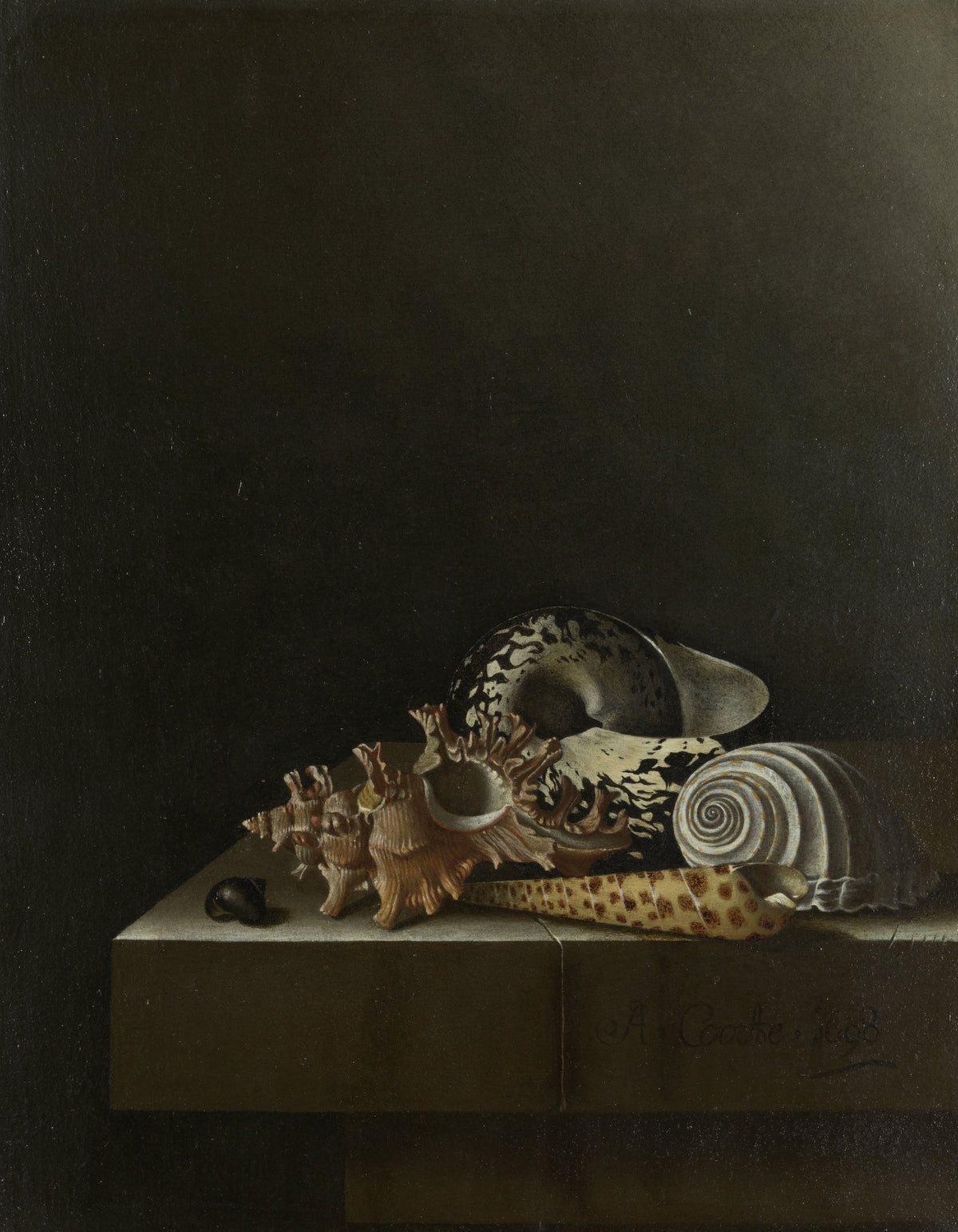 Adriaen Coorte — Shells on a Stone Plinth | Fine Art Print
