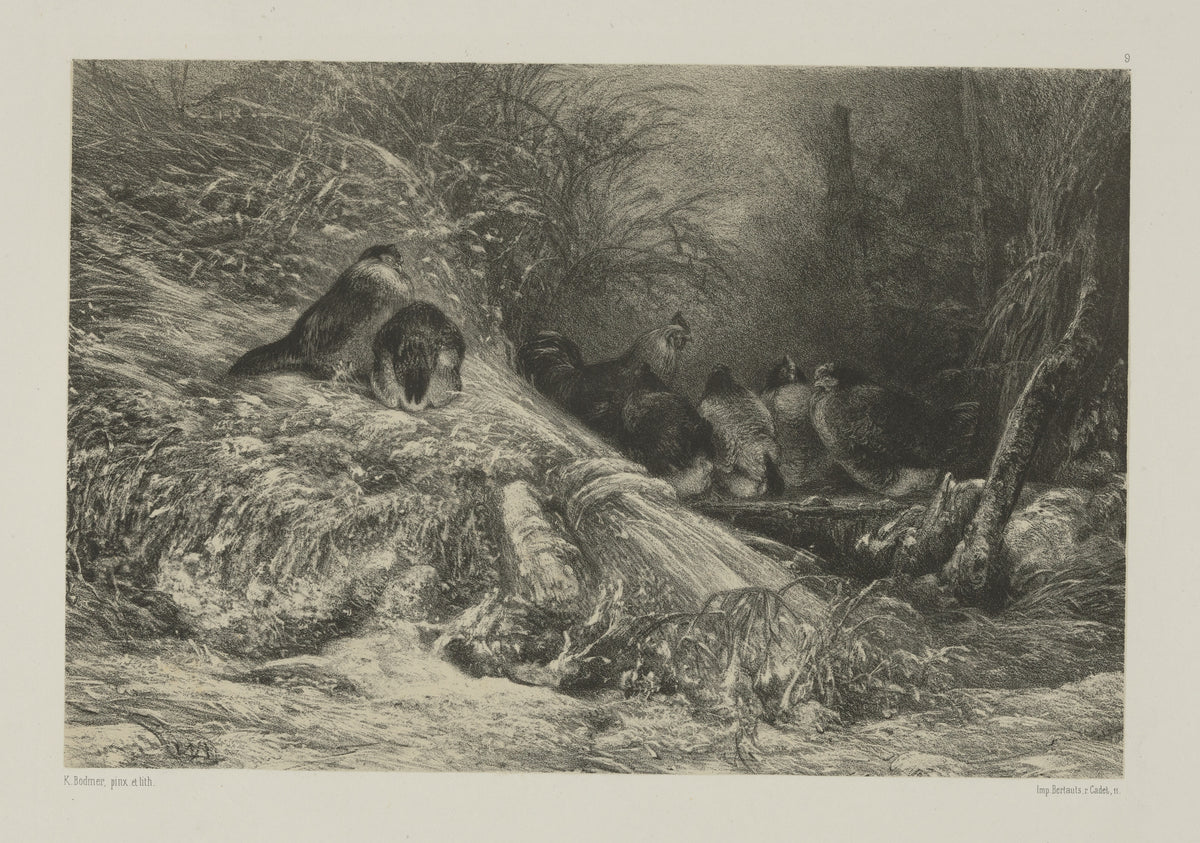 Karl Bodmer — Sheltered from the Frost | Fine Art Print
