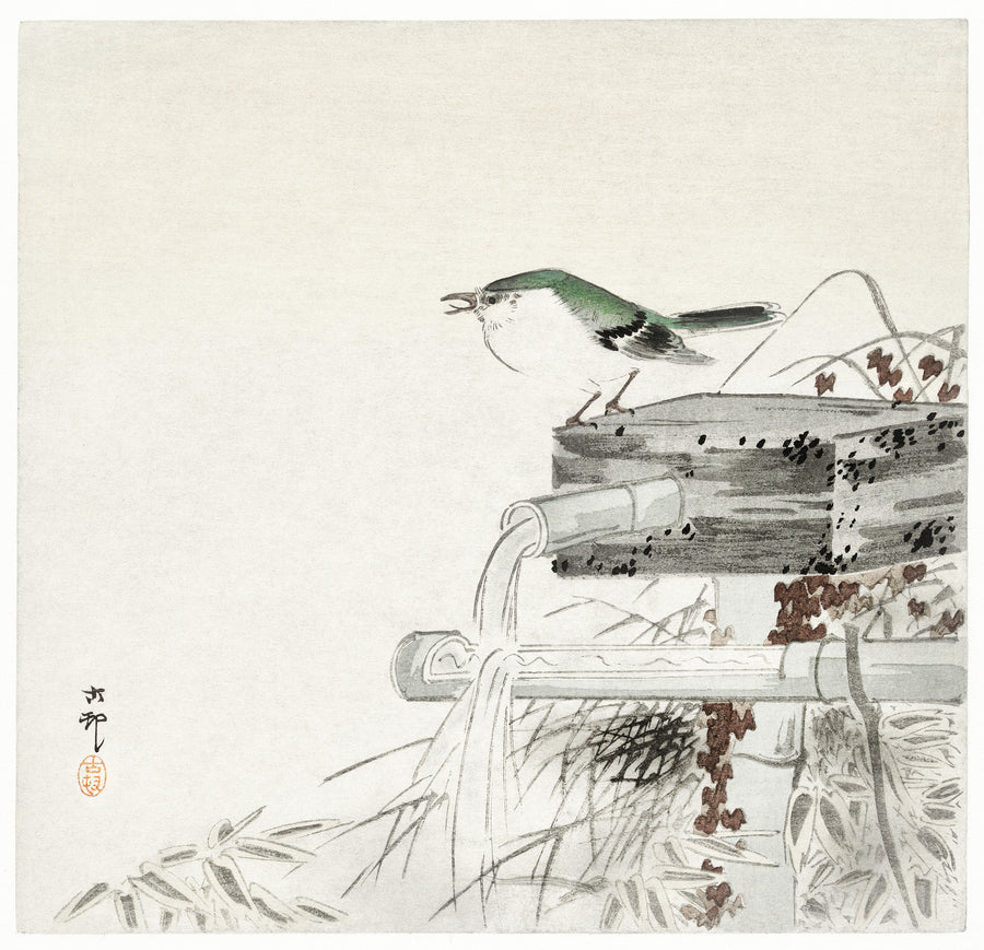 Ohara Koson — Siberian Blue Robin at a Bamboo Water Spout | Japanese Bird & Flower Woodblock Print shown to scale on a wall above a sofa