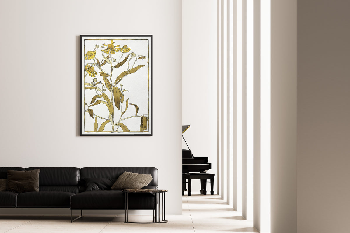 Sneeze Weed by Hannah Borger Overbeck — framed on the wall of a minimal living room