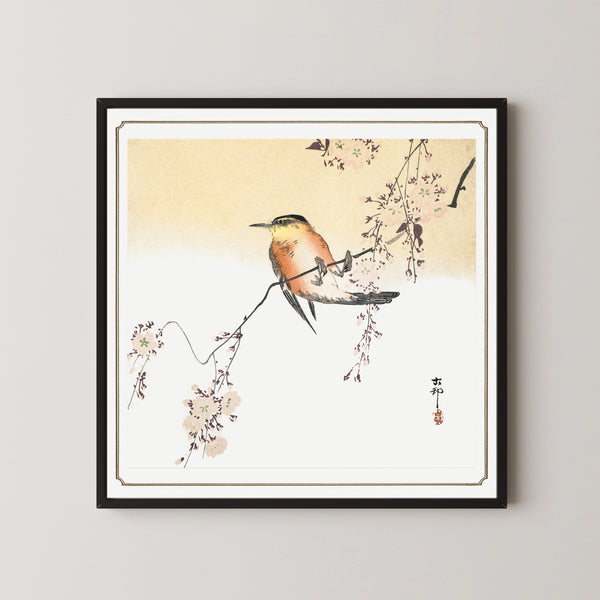 Ohara Koson — Songbird and Blossoming Cherry | Japanese Bird & Flower Woodblock Print