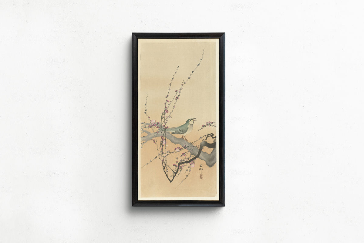 Ohara Koson — Songbird and Plum Blossom | Japanese Bird & Flower Woodblock Print