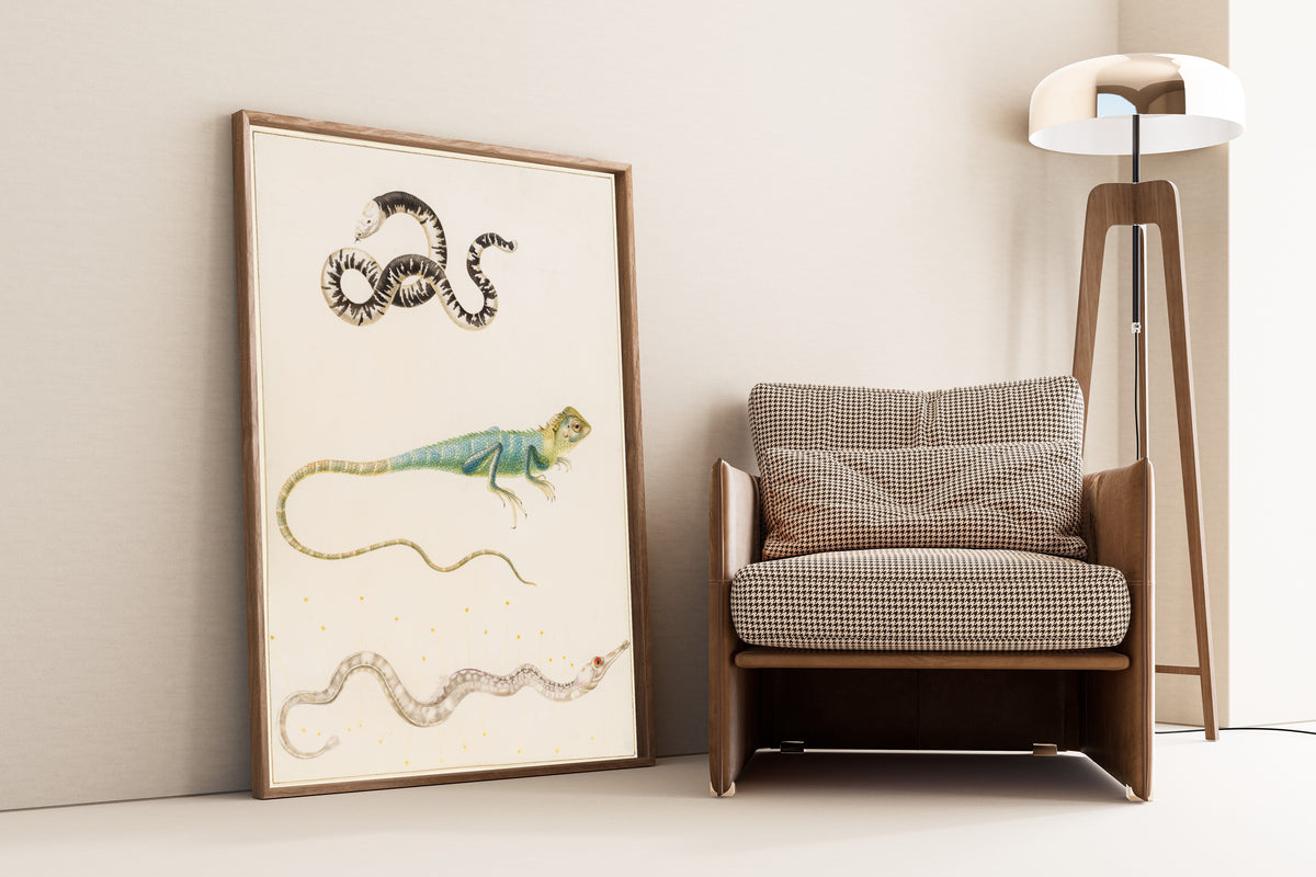 Framed art print of South American smallhead worm lizard, iguana or East… by Maria Sibylla Merian, leaning against a wall beside an armchair and a floor lamp