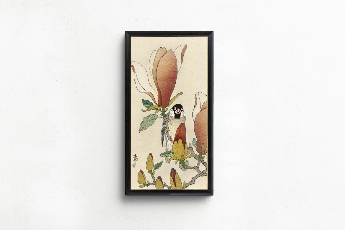 Ohara Koson — Sparrow on Blooming Magnolia Branch | Japanese Bird & Flower Woodblock Print