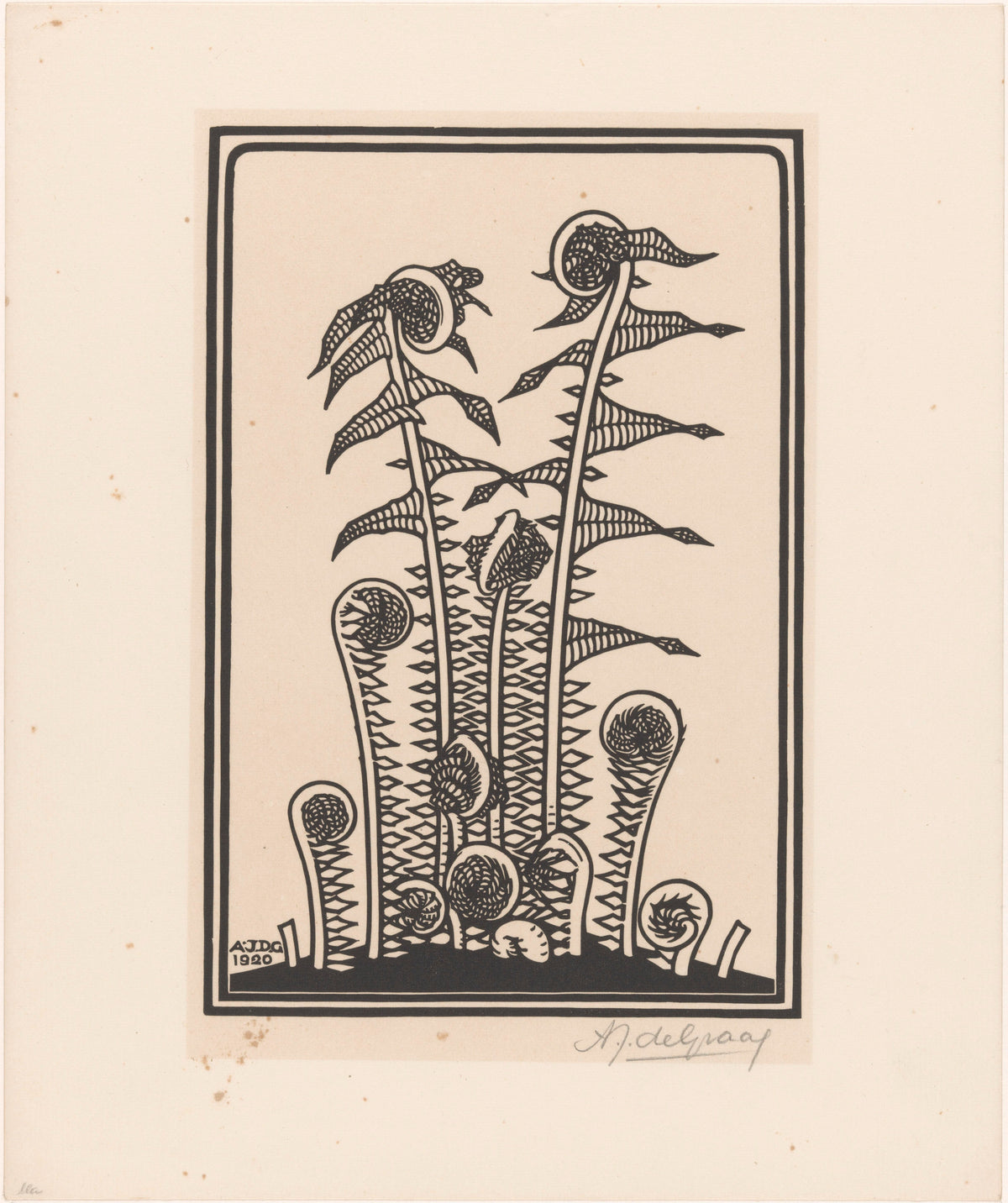 Julie de Graag — Stylised plant with seed heads | Woodcut Print